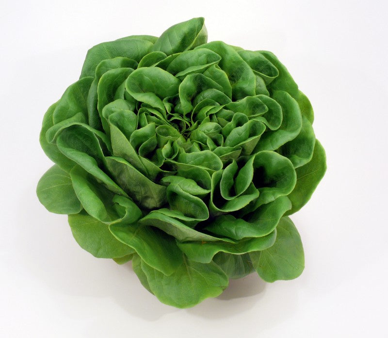 Protein Salad Bowl (350g)