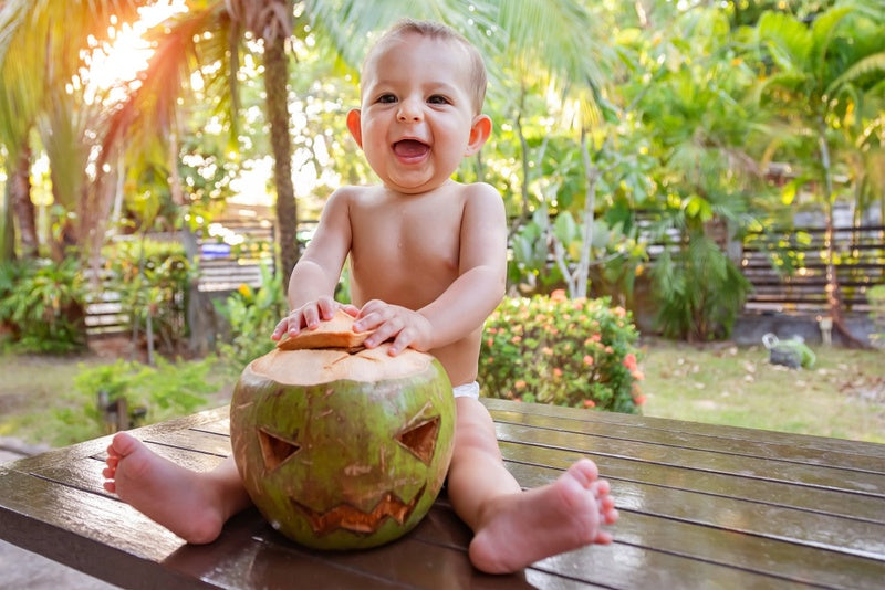 Coconut Milk (400 ml)