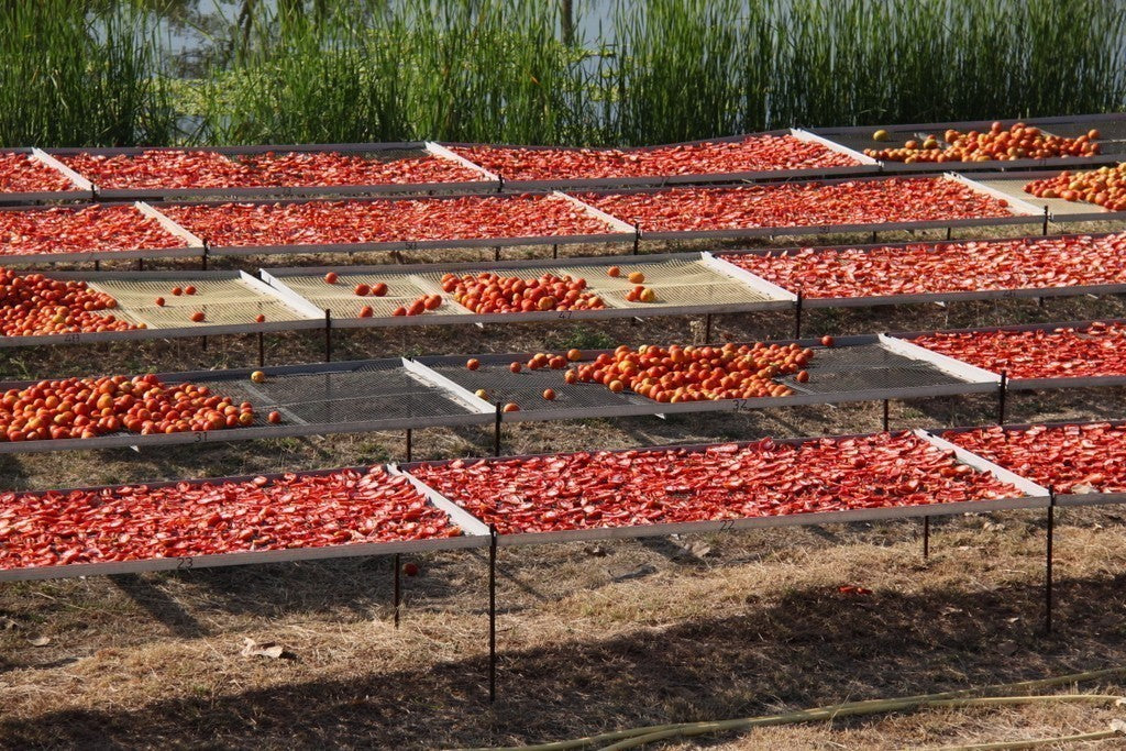 Sun Dried Tomatoes in Oil (180g)