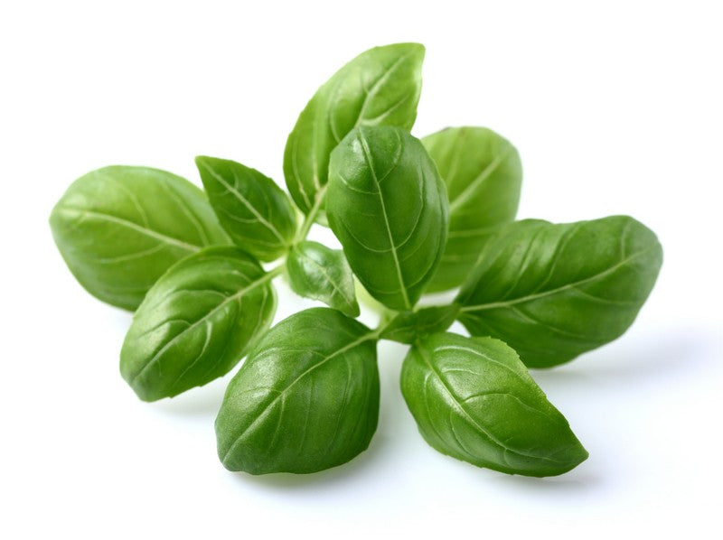 Basil Leaves (50g)