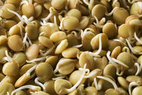 Sprouts - Mixed (200g)