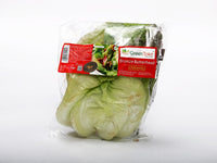 Lettuce - Bronze Butterhead (pc)