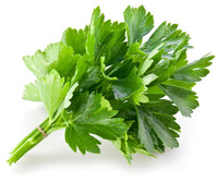 Sepu/Dill (50g)
