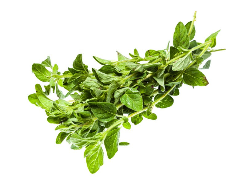 Oregano (20g)