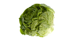 Lettuce - Green Butterhead (pc)