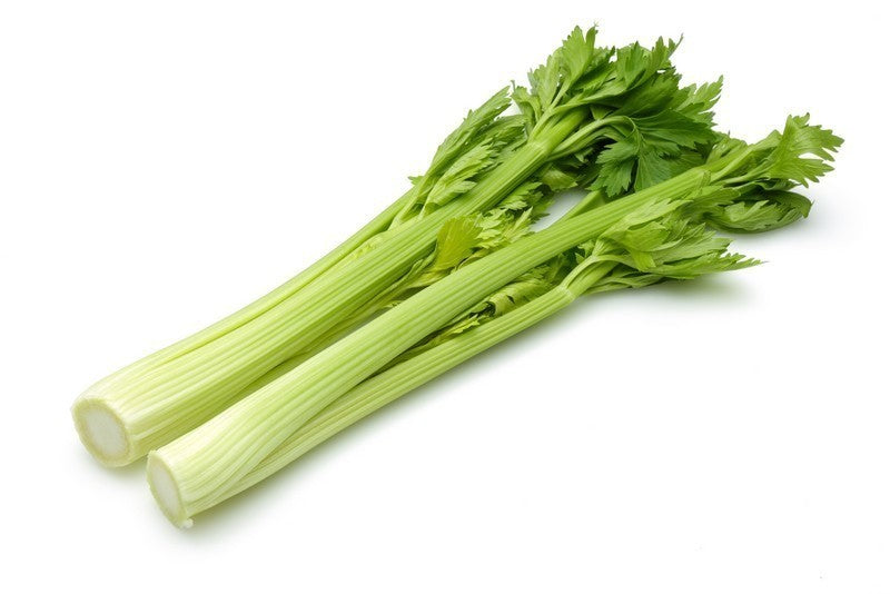 Celery (Bundle)