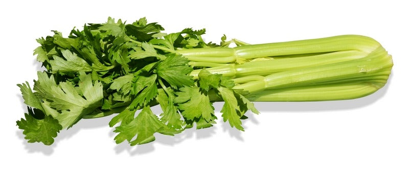 Celery (Bundle)