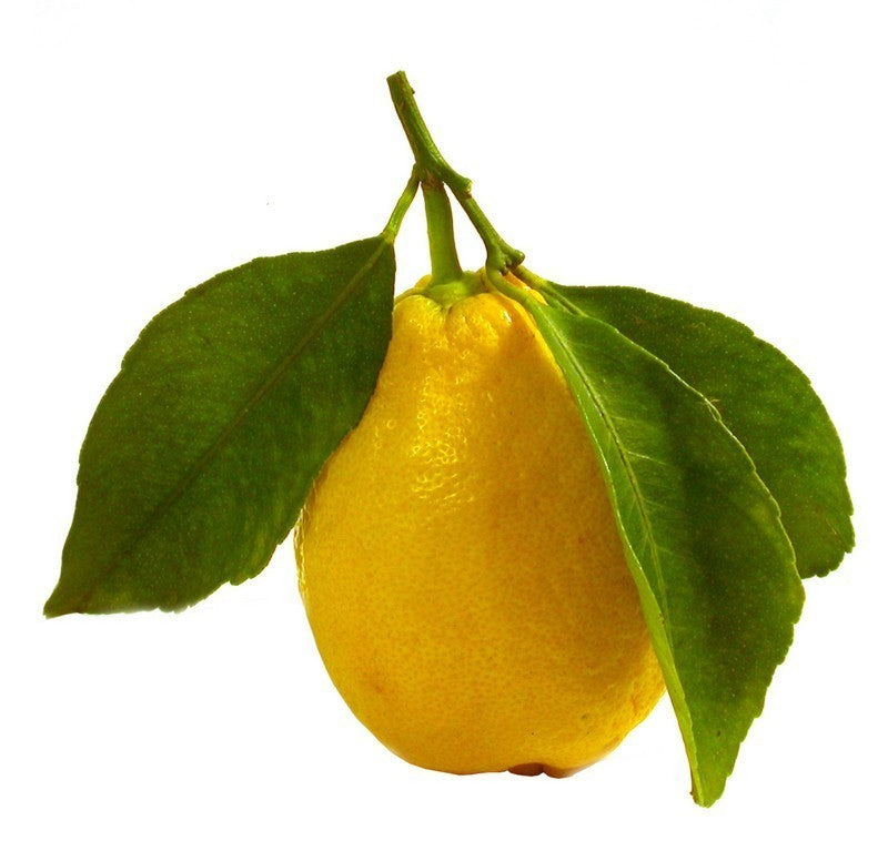 Lemon (pc)