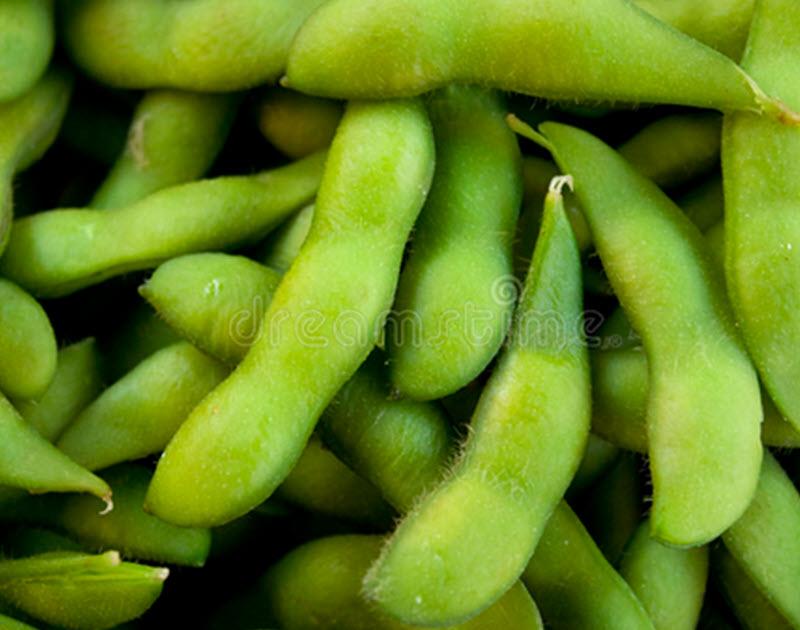 Edamame - Green Soybean (200g)