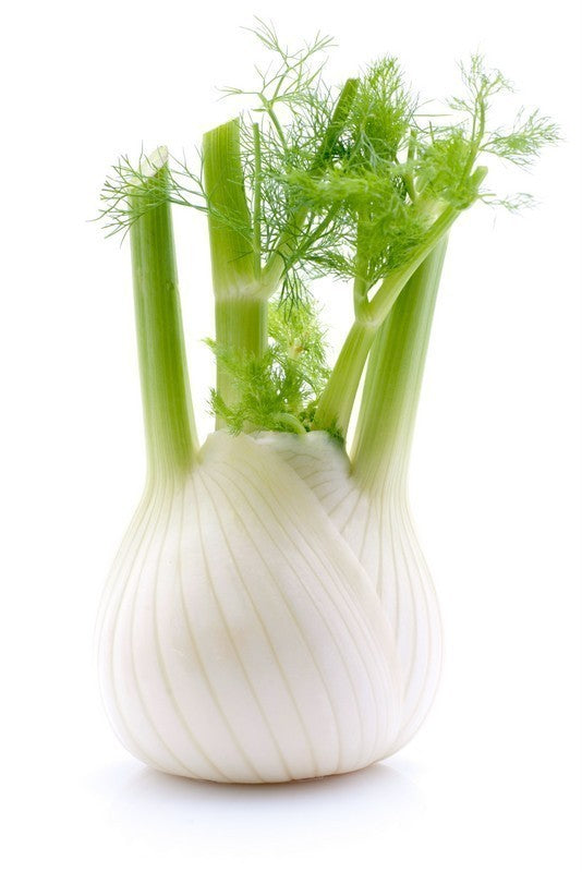 Fennel (pc)