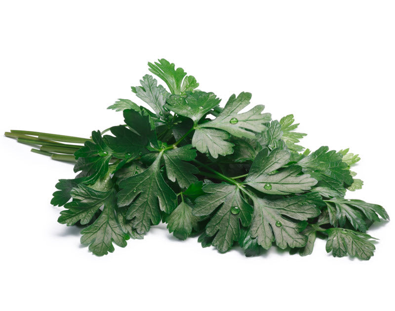 Parsley - Flat (100g)