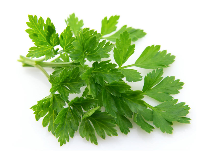 Parsley - Flat (100g)