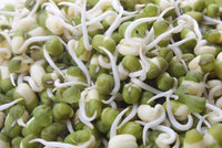 Sprouts - Mixed (200g)