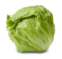 Lettuce - Iceberg (pc)