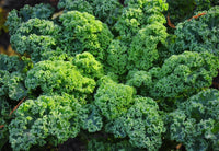 Kale (100g)