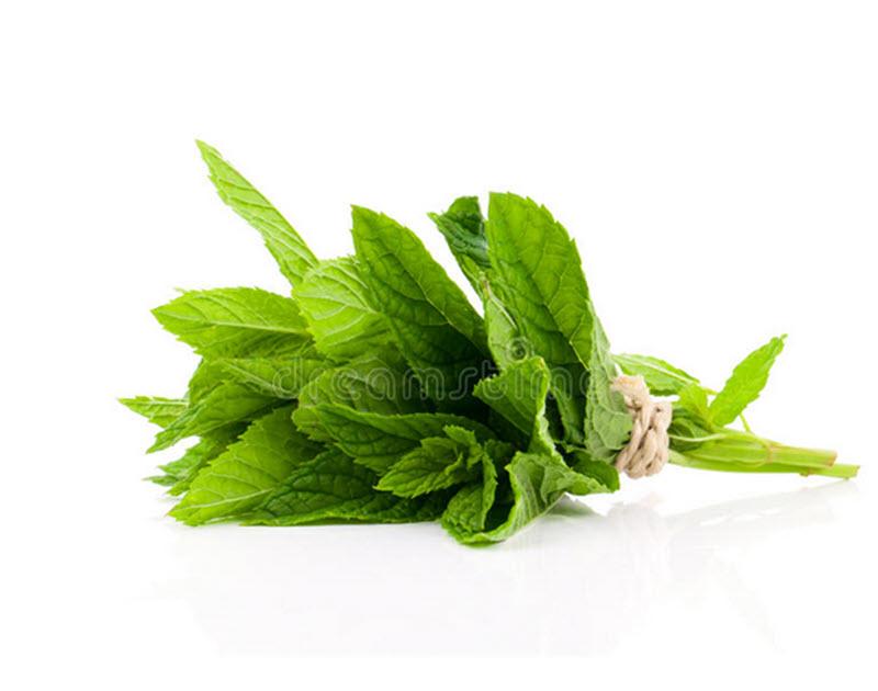 Herb Pot - Mint (Fresh Herbs)