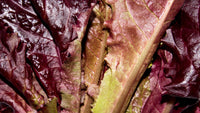 Lettuce - Red Romana/Romaine (pc)