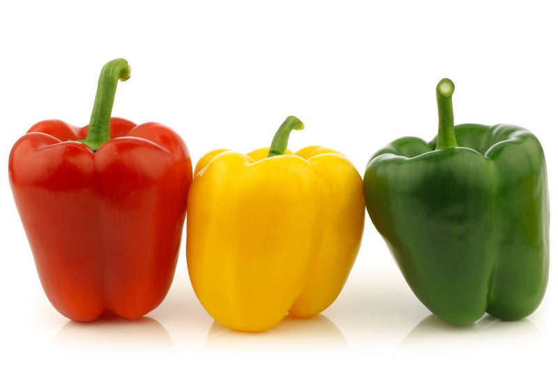 Coloured Capsicum - Yellow (pc)