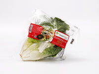 Lettuce - Romana/Romaine (pc)