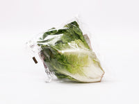 Lettuce - Romana/Romaine (pc)