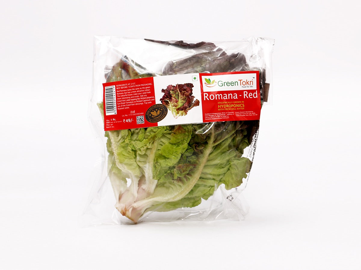 Lettuce - Red Romana/Romaine (pc)