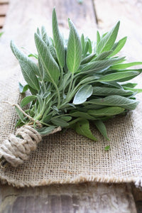 Sage (20g)