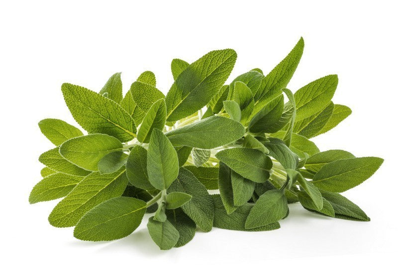 Sage (20g)