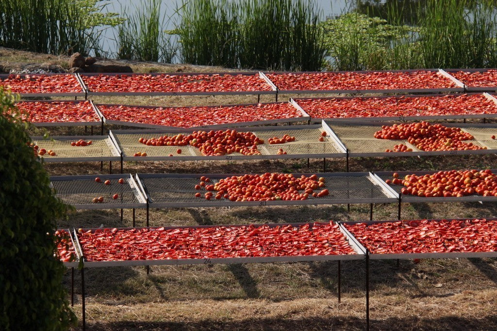 Sun Dried Tomatoes (100g)