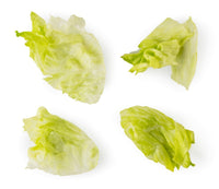 Lettuce - Iceberg (pc)